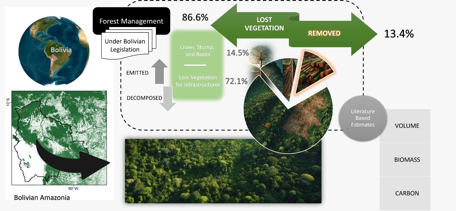 Imagen de portada: Estimaciones de volumen, biomasa y carbono de especies arbóreas comerciales en un bosque gestionado: un estudio de caso en la Amazonía boliviana
