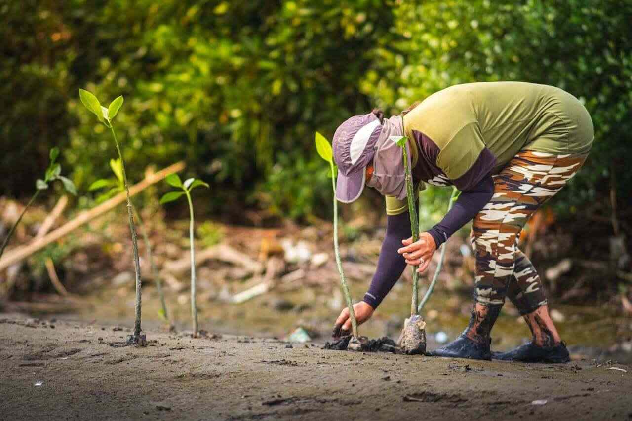 Salud Ambiental - Mejorar la salud y el bienestar de las comunidades amazónicas mediante programas preventivos y educación integral que reconozcan la relación entre bosque, ambiente y salud humana.